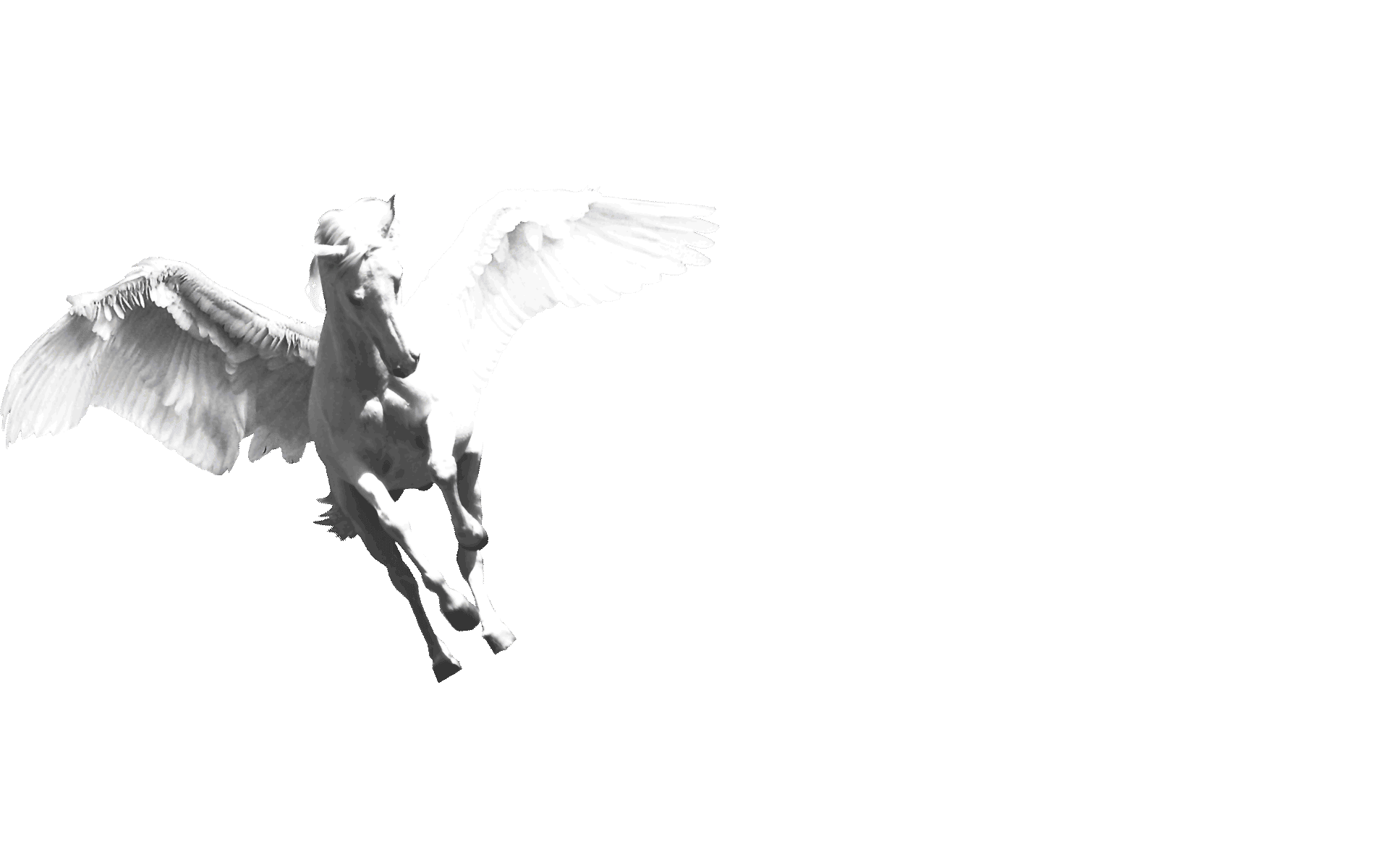 devis-site-web-surgeres