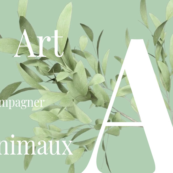 creation-site-internet-cognac