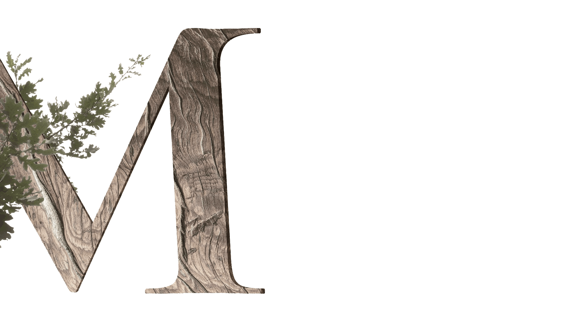 design graphique site internet institut Rosa