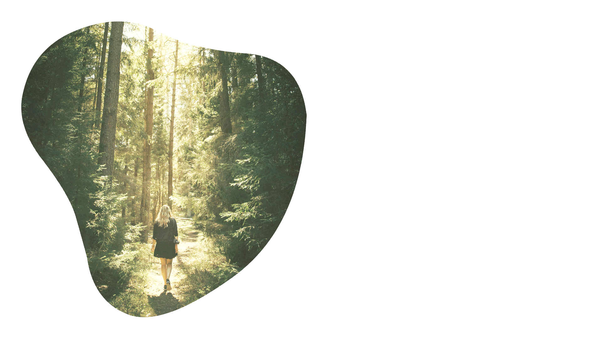 design graphique site internet institut Rosa