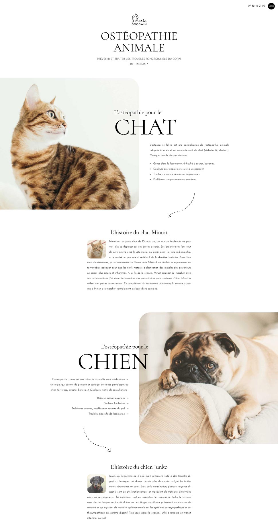 site internet ostéopathe animalier Bordeaux - page contact