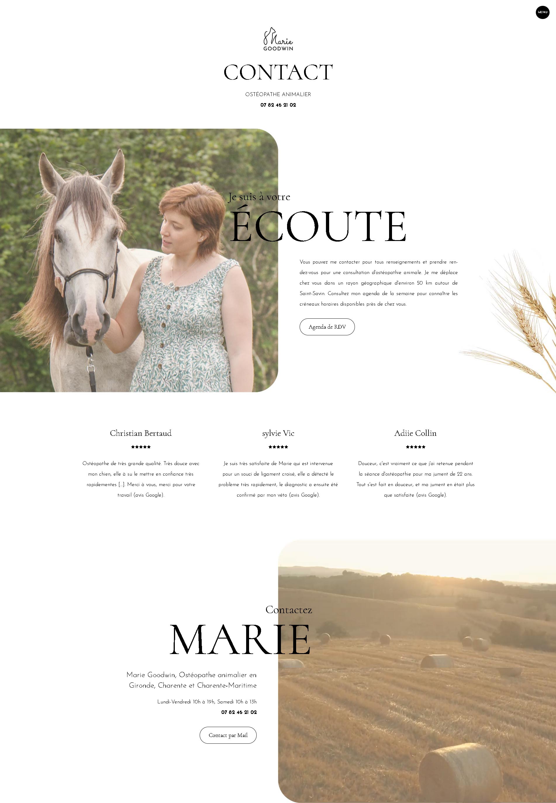 site internet ostéopathe animalier Bordeaux - page accueil