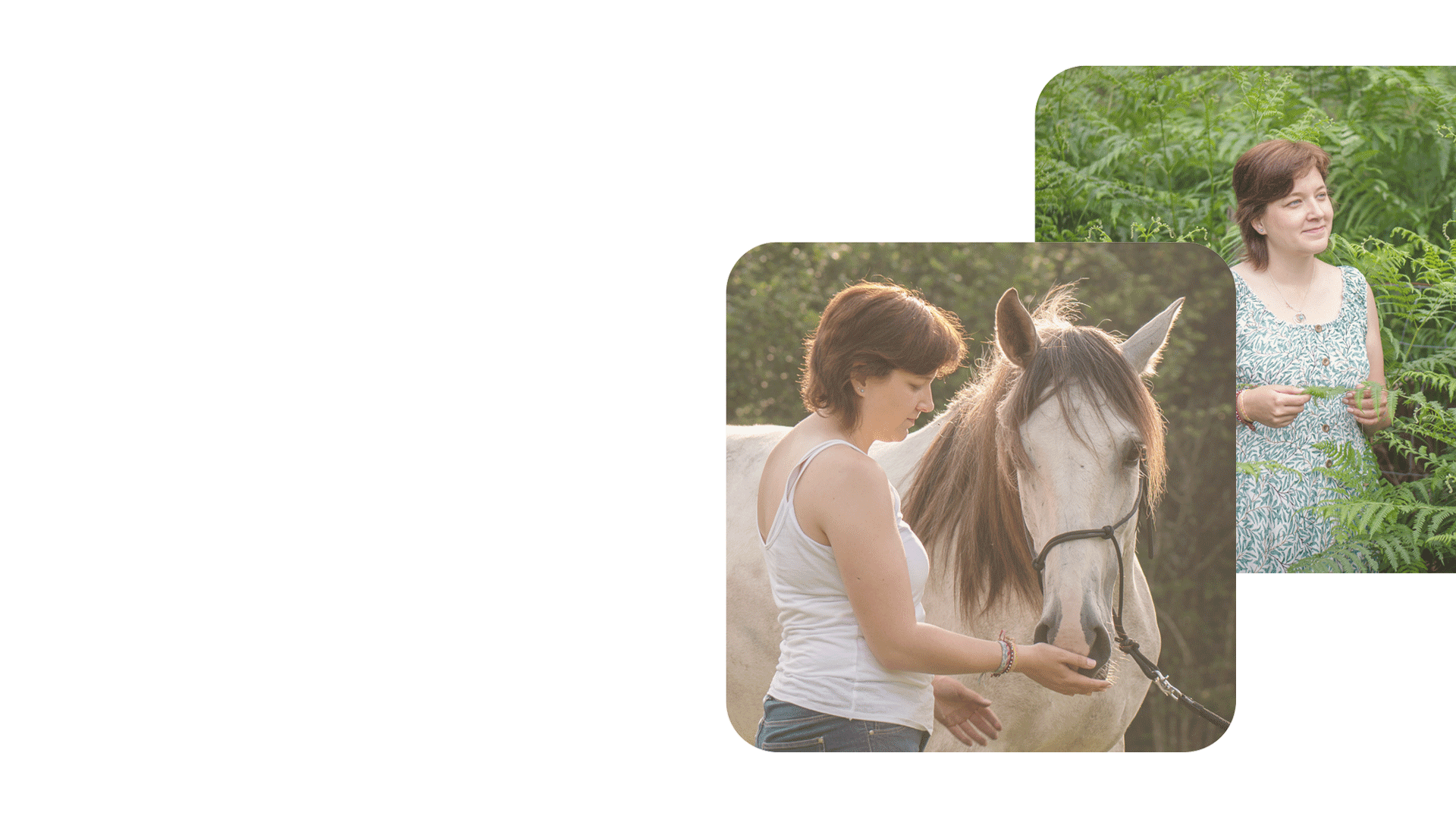 site-internet-osteopathe-animalier-bordeaux-galerie