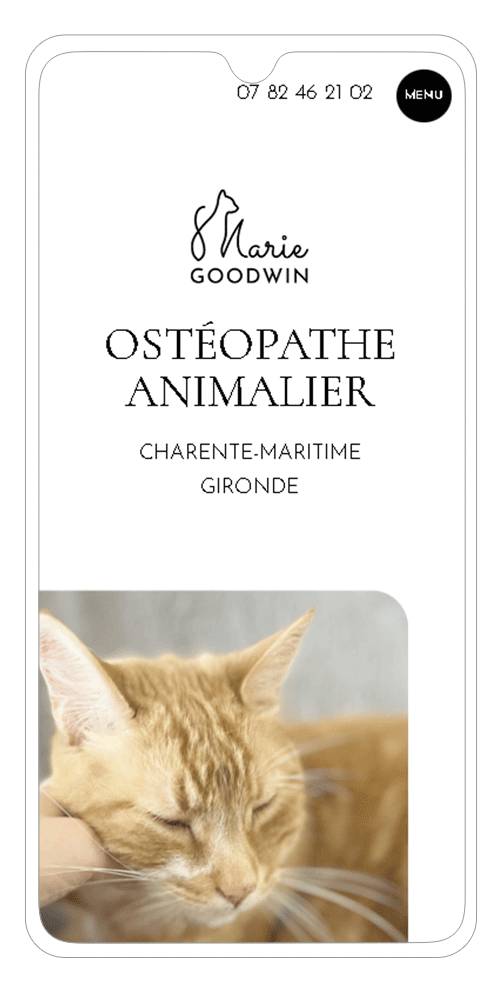 site internet ostéopathe animalier Bordeaux sur smartphone - page accueil