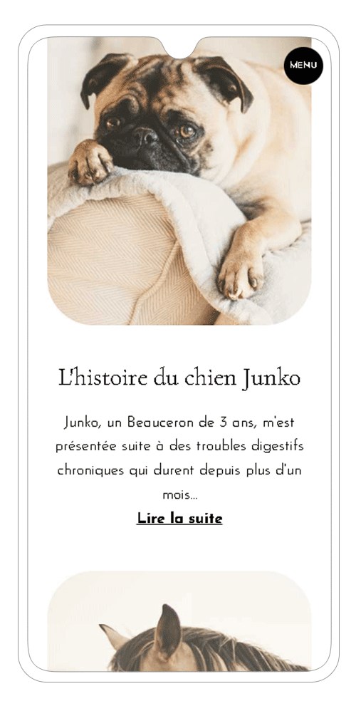 site internet ostéopathe animalier Bordeaux sur smartphone - page osteopathie animale
