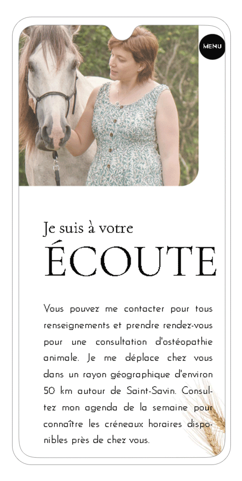 site internet ostéopathe animalier Bordeaux sur smartphone - page contact