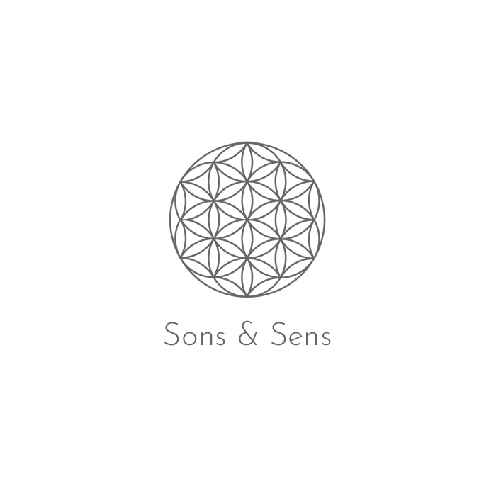 logo-sons-et-sens