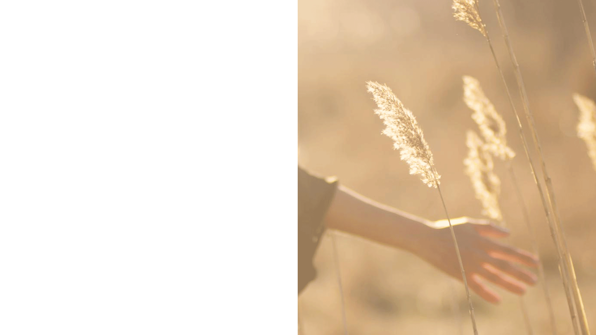 systeme vente en ligne