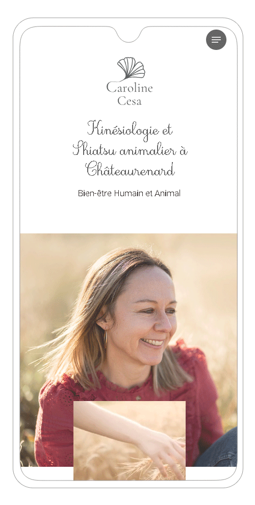 site Wordpress version smartphone - page accueil