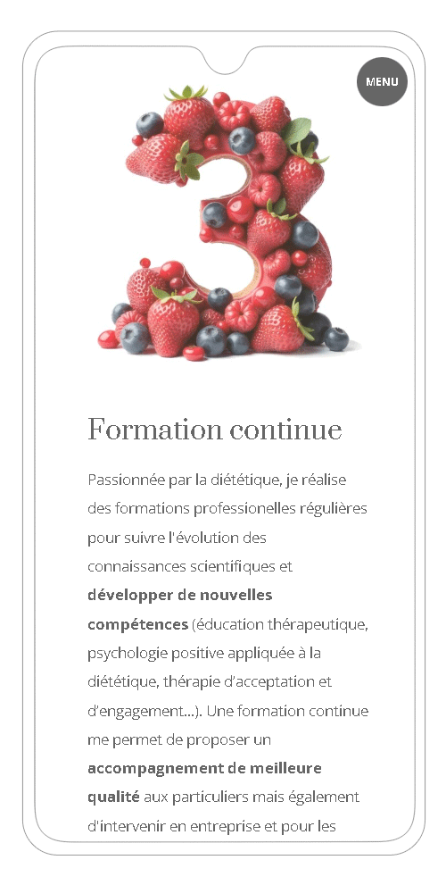 site Wordpress version smartphone - page contact