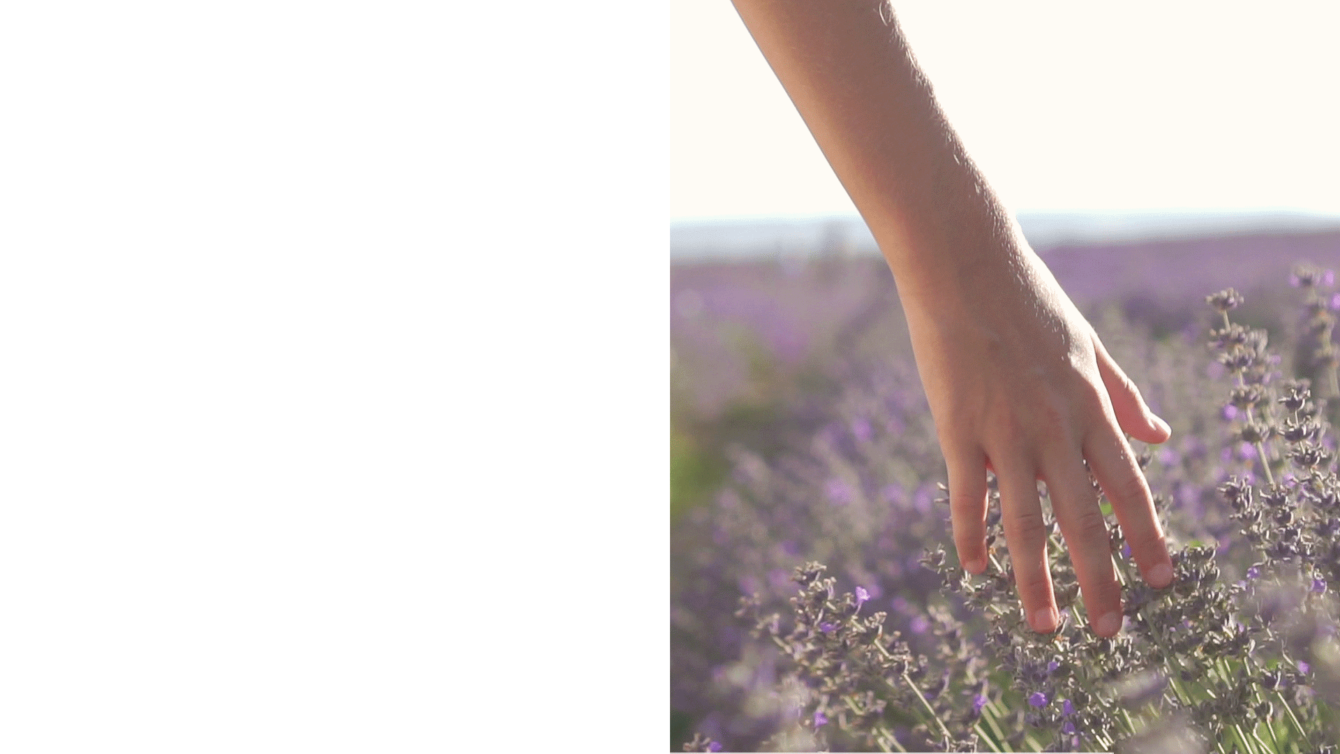 systeme vente en ligne