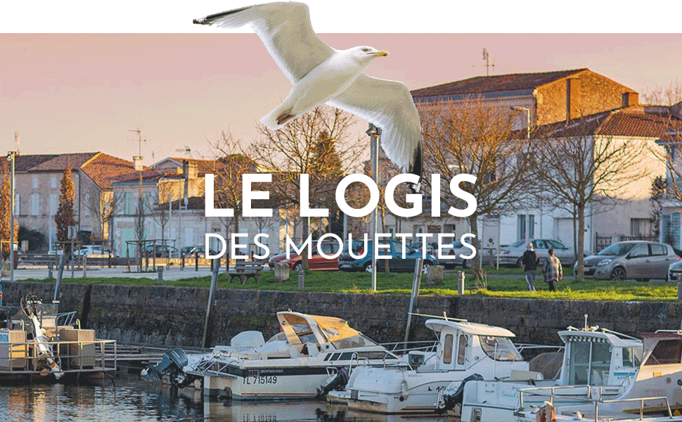 site internet logis des mouettes saujon - page accueil
