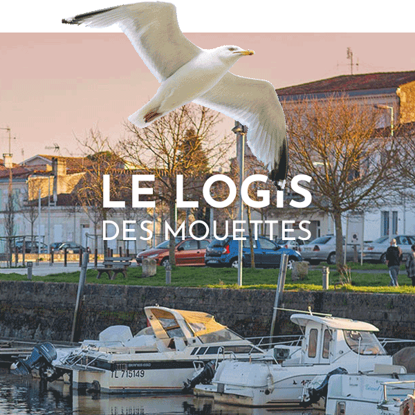 site-location-meublee-saujon-logis-des-mouettes